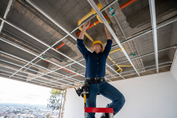 Best Plumbing Inspection Services  in Forest City, NC